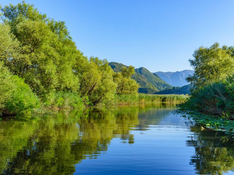 Das Skadar-Delta und das Fischerdorf Vranjina