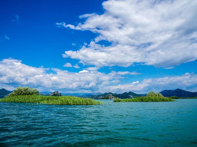 Unterwasser-Abenteuer am See